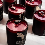 WILD SOUL | Luxe Crystal Candle